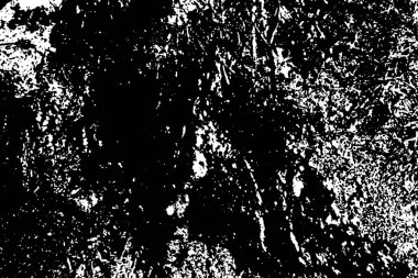 Domuzun kanı çimlerin üzerinde.