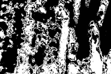 Hassas bir doku. Eski hasır arkaplan.