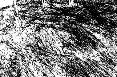 İlkbaharda ormanın kenarında kuru otlar. Transcarpathia