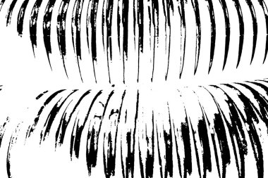 Soyut arkaplan. monokrom dokusu. resim siyah ve beyaz tonları içerir.