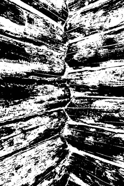 Sfondo Astratto Texture Monocromatica Immagine Compreso Effetto Toni Bianco Nero — Foto Stock