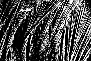 Soyut arkaplan. monokrom dokusu. resim siyah ve beyaz tonları içerir.