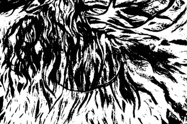 İşlemde koyun yünü