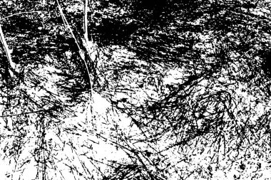 Soyut arkaplan. monokrom dokusu. resim siyah ve beyaz tonları içerir.