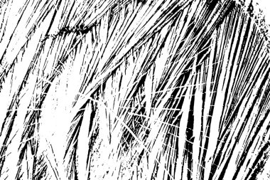 Soyut arkaplan. monokrom dokusu. resim siyah ve beyaz tonları içerir.