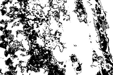 Hassas bir doku. Eski hasır arkaplan.