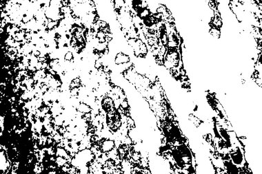 Hassas bir doku. Eski hasır arkaplan.