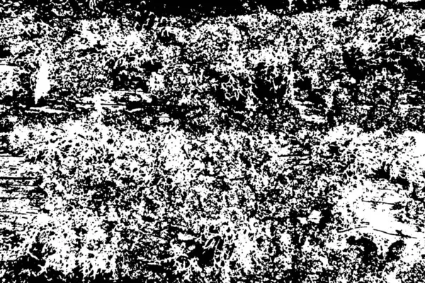 Деревянная Текстура Текстура Старого Дерева — стоковое фото