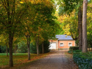 Ev ağaçları ile çevrili kir yol