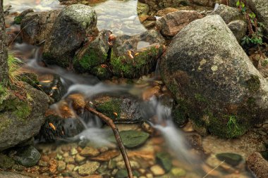 Gün batımında küçük bir derede kayalar