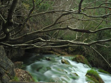 Cuervo Nehri 'nin manzarası, Cuenca. İspanya