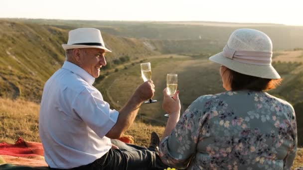 Couple âgé assis sur le sommet d'une colline à un pique-nique, acclamations une coupe de champagne — Video