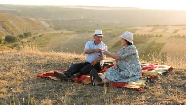 Пожилая пара сидит на вершине холма на пикнике, поднимает бокал шампанского — стоковое видео