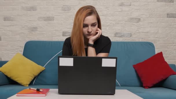 Geconcentreerde jonge vrouw die zit op een blauwe bank en werkt op de laptop. — Stockvideo