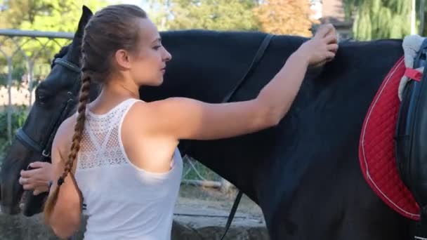Дівчина в одязі для їзди очищається спеціальним пензлем, гребінцем її молодого коня — стокове відео