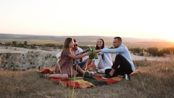 Cuatro amigos en el picnic de verano están animando con cerveza y sonriendo. — Vídeos de Stock