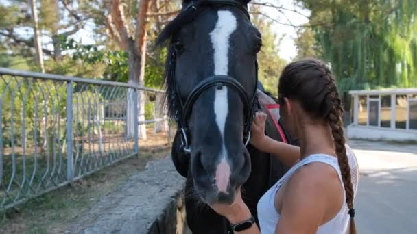 Дівчина в одязі для їзди очищається спеціальним пензлем, гребінцем її молодого коня — стокове відео