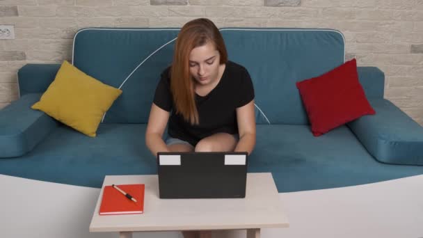 Koncentrerad ung kvinna som sitter på en blå soffa och arbetar på laptop. — Stockvideo