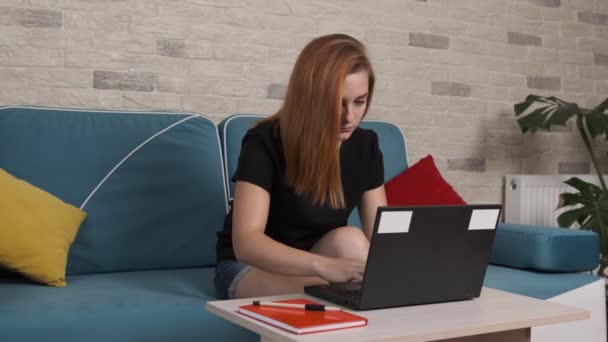 Geconcentreerde jonge vrouw die zit op een blauwe bank en werkt op de laptop. — Stockvideo