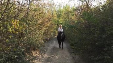 Güzel siyah at ve parkta yürüyen bir kadın..