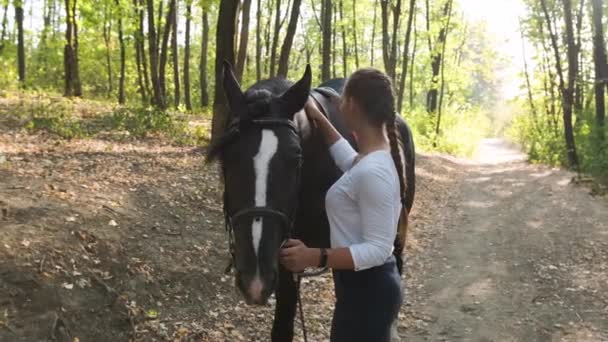 Joven chica de belleza acariciando suavemente su caballo en el parque. — Vídeos de Stock