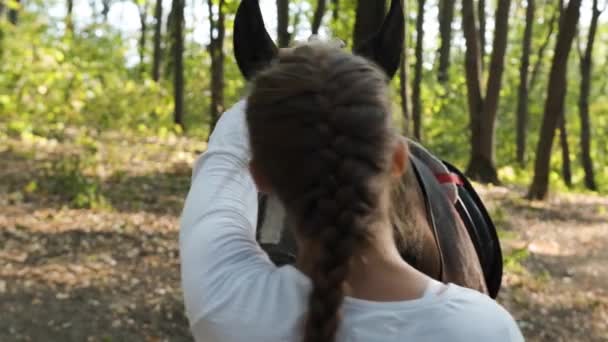 Joven chica de belleza acariciando suavemente su caballo en el parque. — Vídeos de Stock
