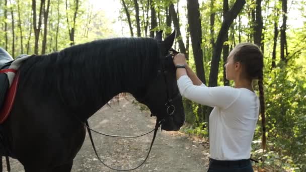 Молодая красавица нежно ласкает лошадь в парке.. — стоковое видео