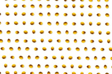 Limon deseni. Limon beyaza izole edilmiş. Tropikal desen. Üçlü meyve. Ticaret için konsept pankartı. Web sayfası için arkaplan.