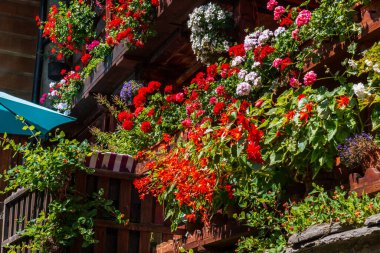Pedemonte, Alagna Valsesia, Piedmont, İtalya 'da tipik Walser tarzı evler