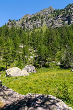 Alpe Devero, Baceno, Lepontine Alps, Ossola, Piedmont, İtalya 'daki dağ panoramaları