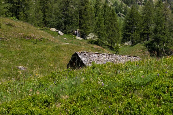 Panoramas Montaña Alpe Devero Baceno Alpes Lepontinos Ossola Piamonte Italia —  Fotos de Stock