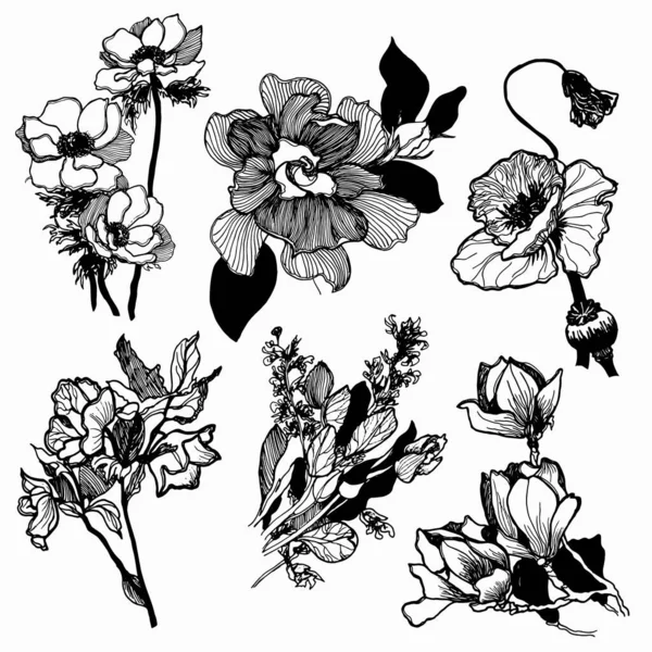 Conjunto Vectorial Flores Dibujadas Mano — Vector de stock