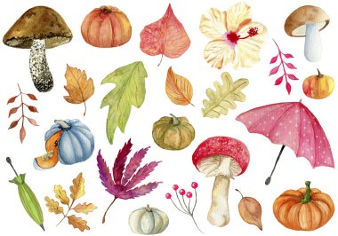 Büyük sonbahar mantarları, balkabakları, yapraklar ve şemsiyeler.