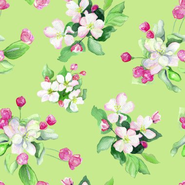 Açık yeşil arka planda suluboya elma ağacı çiçeklerinin kusursuz deseni