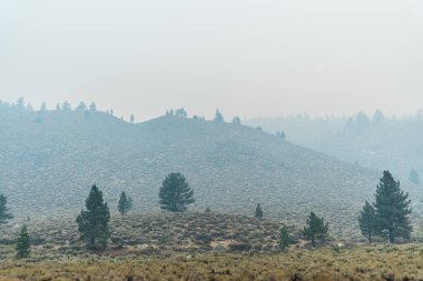 Büyük orman yangınları için duman Kaliforniya 'daki çam ağacı kaplı dağ manzarasını gizliyor