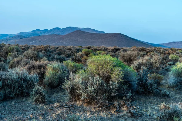 在暮色的天空下 沙漠植物 岩石山和遥远的雪山 — 图库照片