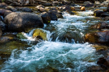 Kaliforniya 'nın Doğu Sierra Nevada dağlarındaki kayalık derede akan sular