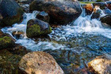 Kaliforniya 'nın Doğu Sierra Nevada dağlarındaki kayalık derede akan sular