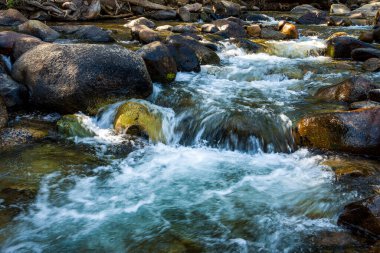 Kaliforniya 'daki dağ derelerinde akan beyaz su, kayaların üzerinden akar.