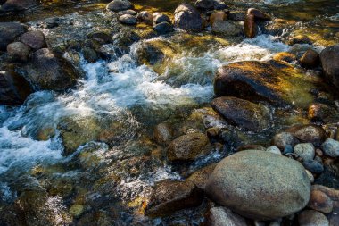 Dağ derelerinde akan sular kayalarla doludur.