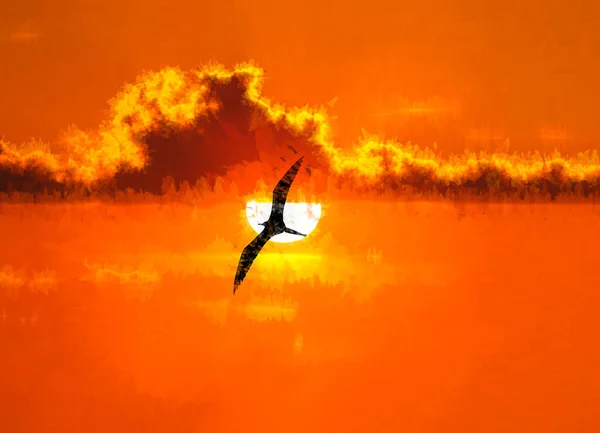 Fågel Silhouette Flyger Ljus Sol Med Orange Solnedgång Horisonten — Stockfoto