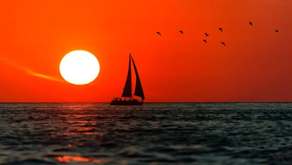 Een Zeilboot Zeilen Langs Oceaan Bij Zonsondergang Met Vliegende Vogels — Stockfoto