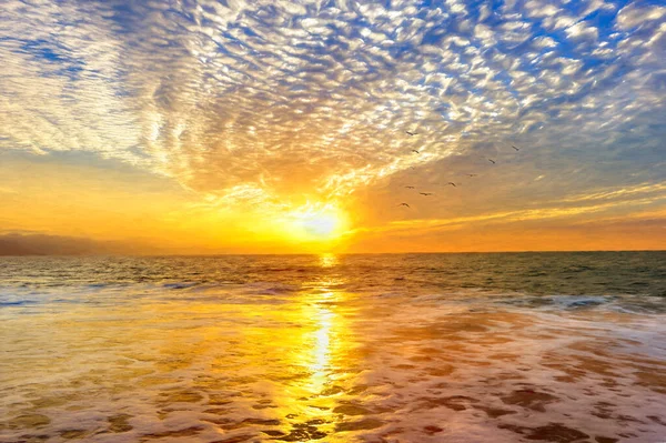 鳥が飛ぶように広がるカラフルな海の夕日 — ストック写真