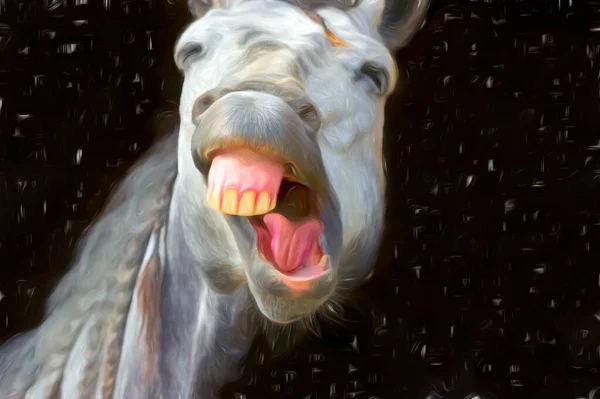 面白い馬を見て大声で笑っている — ストック写真