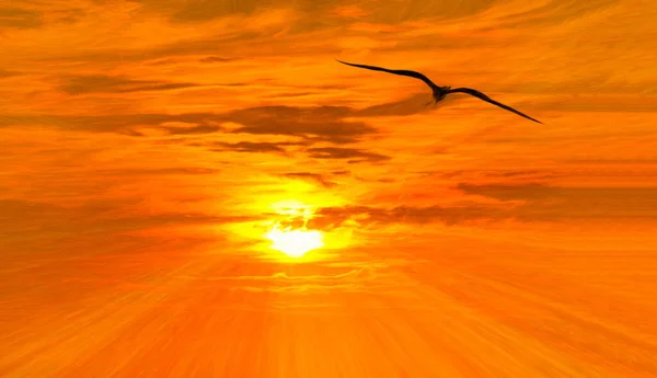 Single Bird Flying Sun Light Rays Emanate Its Center — Stock Photo, Image