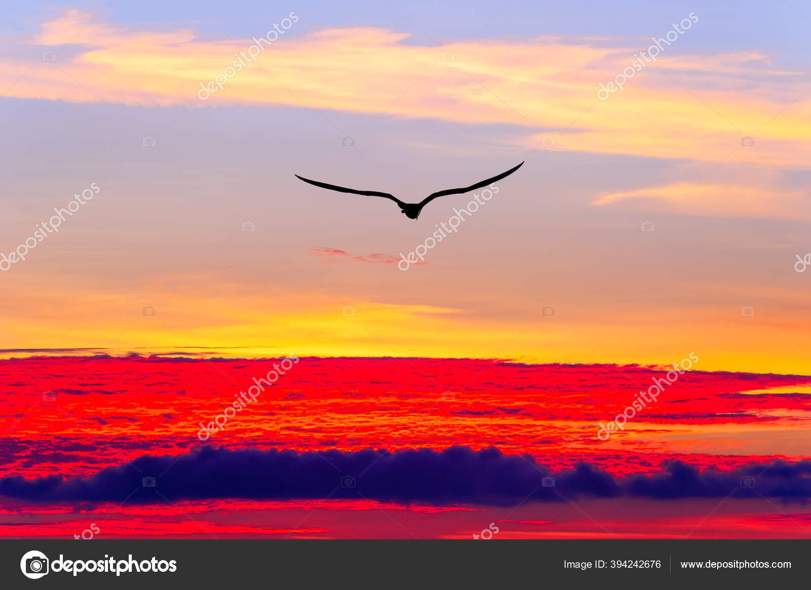 Una Sola Silueta Pájaro Volando Por Encima Las Nubes Etéreas — Foto de  stock #394242676 © mexitographer, image size:1600x1165