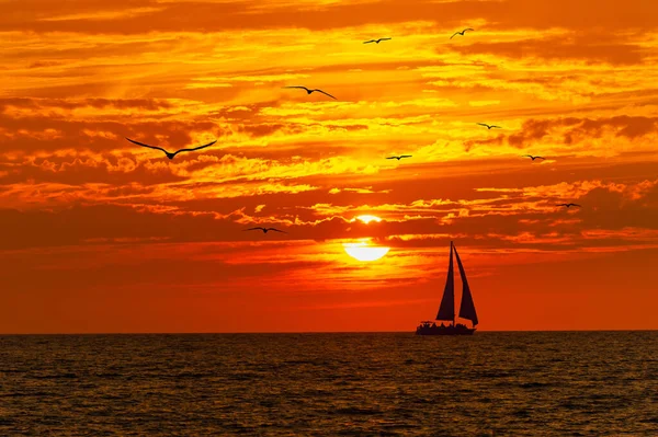 Flock Birds Flies Ocean Orange Vivid Sunset Sky Sailboat Moves — Stock fotografie