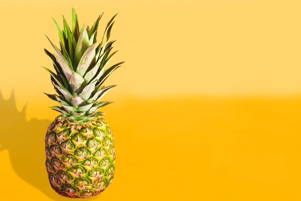 Schöne Ananas Isoliert Auf Hell Pastellorange Gelb Hintergrund Sommerfrüchte Mit — Stockfoto