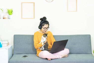 yumuşak seçici odak noktası, güzel Asyalı kadın turuncu örgü giyer, siyah kediyle gri koltukta oturur, online yaşam tarzında çalışır, evde karantina altında dinlenir, dizüstü bilgisayarda çalışır veya film izler. ,