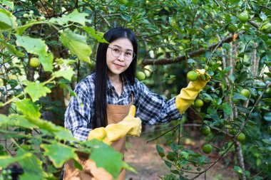 Seçici odak, kahverengi önlüklü güzel Asyalı kadın.